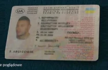 Prawo jazdy kupił we Francji od obywatela Ukrainy - WIELKOPOLSKA