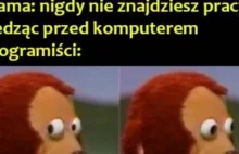 Dzień Programisty