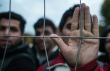 Ekspertka: Niemcy potrzebują 1,5 miliona migrantów rocznie - Wydarzenia w INTERI