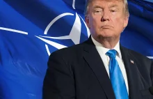 NATO bez USA? Środowisko Trumpa szuka sposobu ograniczenia roli w NATO