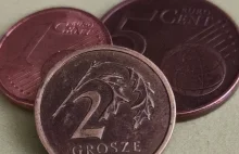 Dlaczego Polska powinna pozostać przy swojej walucie i nie przyjmować euro?