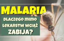 Malaria - dlaczego mimo lekarstw świat nie może sobie z nią poradzić?