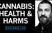 The Effects of Cannabis (Marijuana) on the Brain & Body | Huberman Lab Podcast #