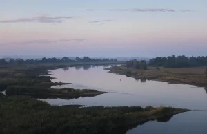 Kopalnie węgla. Spółki górnicze przyznają się do zasolenia Odry i Wisły