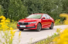 Sprzedawcom zostały jeszcze 2 miesiące. Od stycznia wielkie zmiany i kary