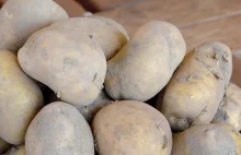 Ile zapłacimy za worek ziemniaków w lutym 2023 roku? | Okiem Rolnika