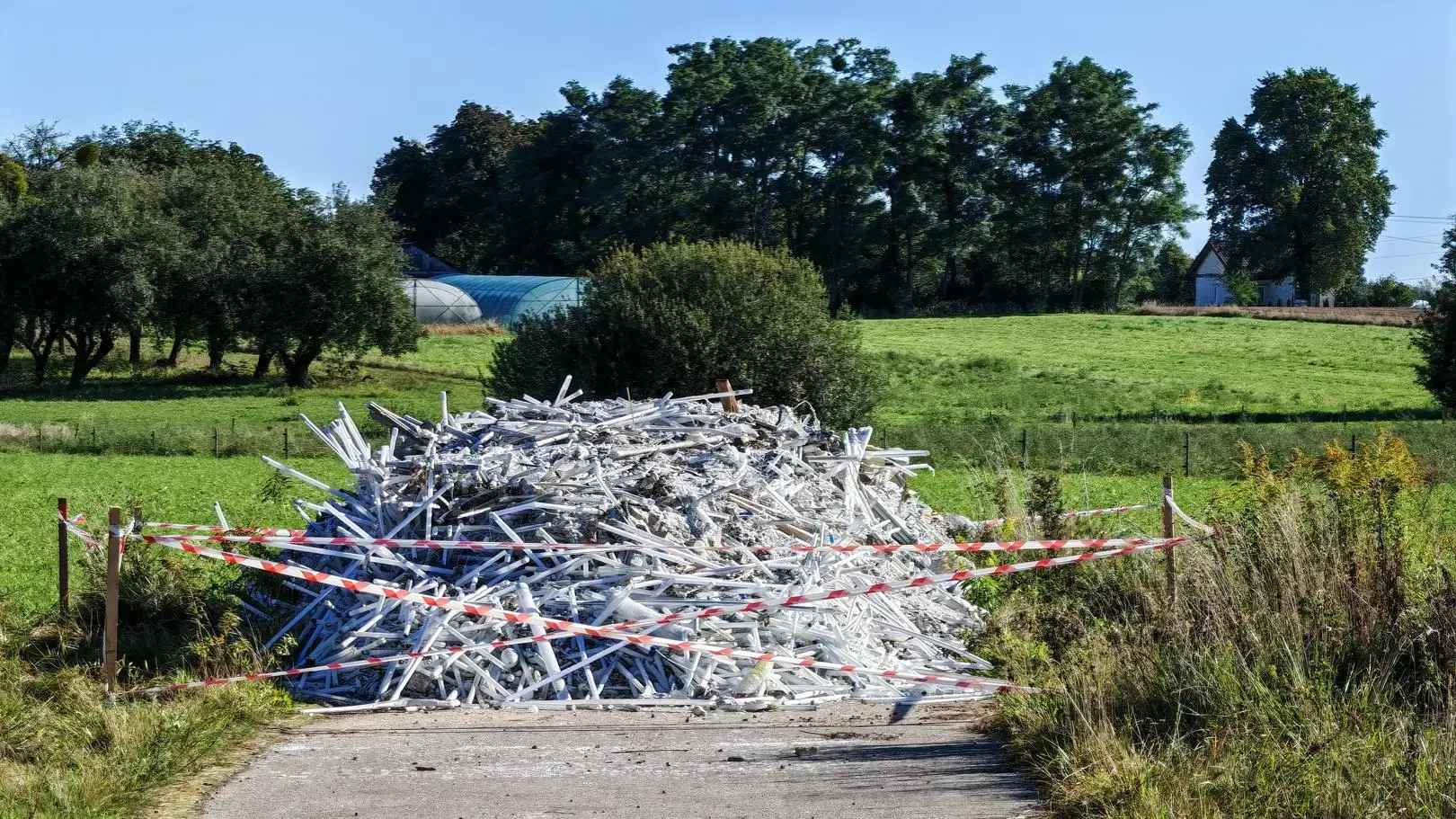 Poszła "wyprowadzić krówkę", na polu znalazła 10 ton jarzeniówek