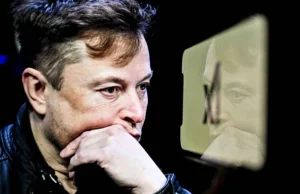 Kto zgodzi się na wszczepienie implantu do mózgu? Elon Musk szuka ochotnika