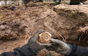 Enigma na Wyspie Sobieszewskiej. Zaskakujące odkrycie