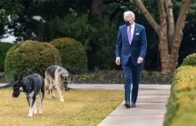 Pies Bidena pogryzł agentów Secret Service!