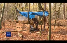 Leśnicy usuwają dzikie koczowiska. Żeby lasy były czyste.