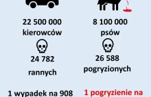 W 2024 roku było więcej pogryzionych przez psy niż rannych w wypadkach drogowych