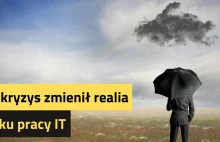 Jak kryzys zmienił realia rynku pracy IT