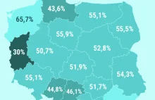 Firmy rosną jak grzyby po deszczu. A potem połowa z nich upada w pierwszym roku