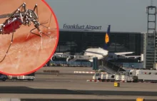 Niemcy: Zakażenie malarią na lotnisku.