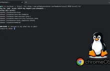 ChromeOS, środowisko Linux i hasło sudo – Dariusz Więckiewicz