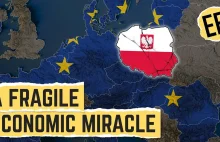 Czy polska gospodarka będzie jak niemiecka? Znany Economics Explained wyjaśnia.