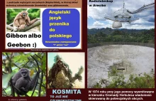 Udany ekpseryment jak powstaje życie w kosmosie i na Ziemi. RNA podłączone.