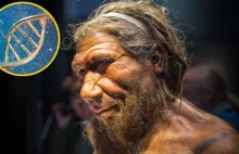 W jaki sposób nasze neandertalskie geny pomagają nam w codziennym życiu? -