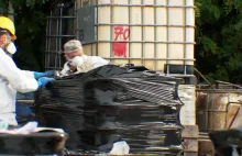 Rozpoczęło się sprzątanie wysypiska odpadów w Pińczowie.