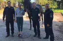 Policjanci wyciągnęli tonącego konia z Odry. "Nie mógł się wydostać".