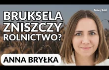 ANNA BRYŁKA: Jak obronić polskie rolnictwo przed polityką Unii Europejskiej?