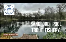 Sandford Pool - Wędkarstwo muchowe w UK