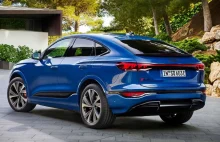 Bardzo duży spadek sprzedaży aut EV w Niemczech