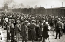 Selekcja na rampie w Auschwitz