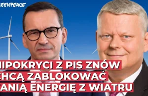 PiS straszy! Próbuje zakneblować tanią energię z wiatru