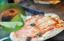 Antynoble rozdane. Wśród nagrodzonych są Polacy