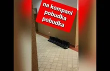 Na kompani pobudka, pobudka.... Wojsko Polskie