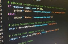 Ile Python Developer zarabia w 2025 roku?