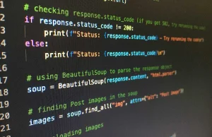 Ile Python Developer zarabia w 2025 roku?