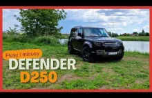 Defender D 250 - wady i zalety