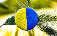 O 63 proc., rok do roku, zwiększyła się liczba milionerów na Ukrainie.