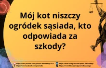 Mój kot niszczy ogródek sąsiada, kto odpowiada za szkody?