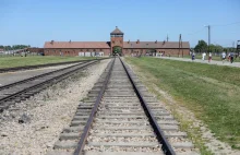 Holandia. Stacja RTL News przeprasza za użycie zdjęcia z Auschwitz-Birkenau - Wy