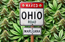 Ohio, USA | Legalna marihuana już wkrótce pojawi się w sprzedaży!