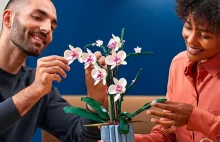 Na allegro możesz sprzedawać podróbki.