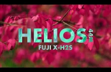 Park Oliwski w soczewkach Heliosa 44