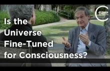 Czy Wszechświat jest dostrojony do świadomości? [ENG]