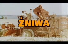 Żniwa w Polsce w roku 1968. Mini-dokument