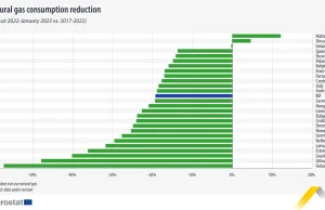Europa zmniejszyła zużycie gazu o jedną piątą.