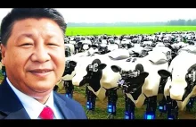 Pierwsza W Pełni Zrobotyzowana Farma W Chinach ZSZOKOWAŁA Świat!