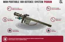 Polska i Litwa wspólnie zakupią systemy przeciwlotnicze Piorun