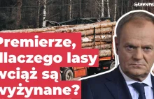 Greenpeace. Gdzie jest ta obiecana ochrona lasów, premierze?