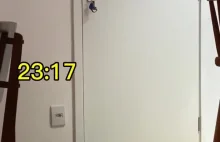 Kitku oczekuje pod drzwiami na człowieka aby go przywitać