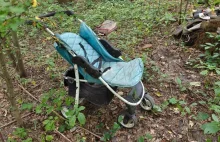 Ciało psa znalezione wśród śmieci w lesie, leśnicy i policja szukają sprawcy!