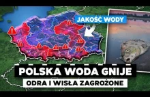 Polskie rzeki umierają - Odra to znowu gnije, a Wisła to kwestia czasu